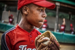 Young Man with Baseball Pitching